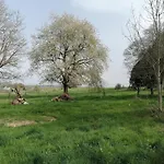 Le 115 Retour Aux Sources Hadol