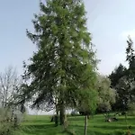 Le 115 Retour Aux Sources Hadol