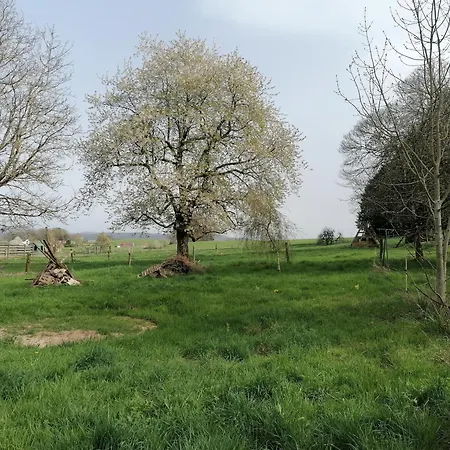 Le 115 Retour Aux Sources Dounoux