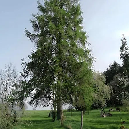 Le 115 Retour Aux Sources Dounoux