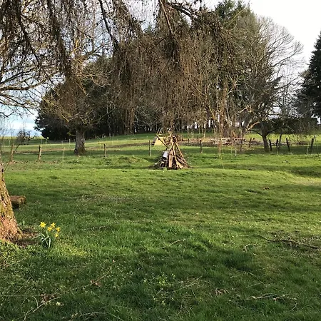 Le 115 Retour Aux Sources Landsted *