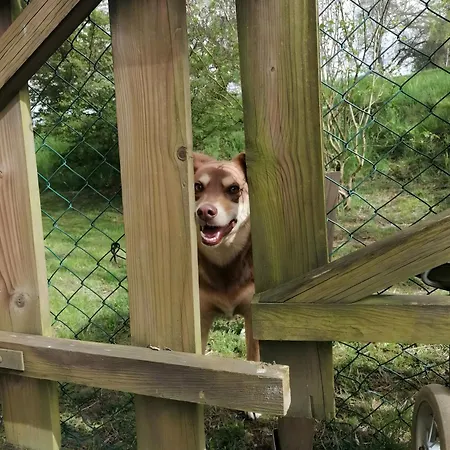 Landsted Le 115 Retour Aux Sources *