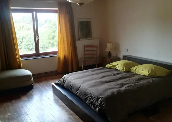 Le 115 Retour Aux Sources * Hadol