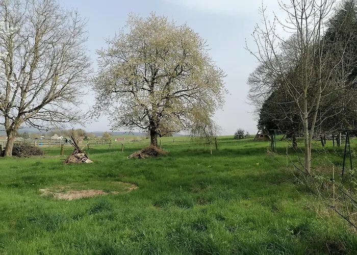 Le 115 Retour Aux Sources Hadol