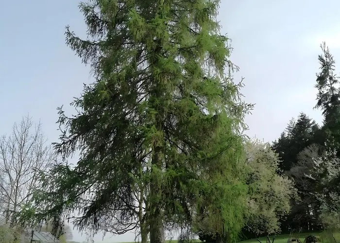 Le 115 Retour Aux Sources Hadol